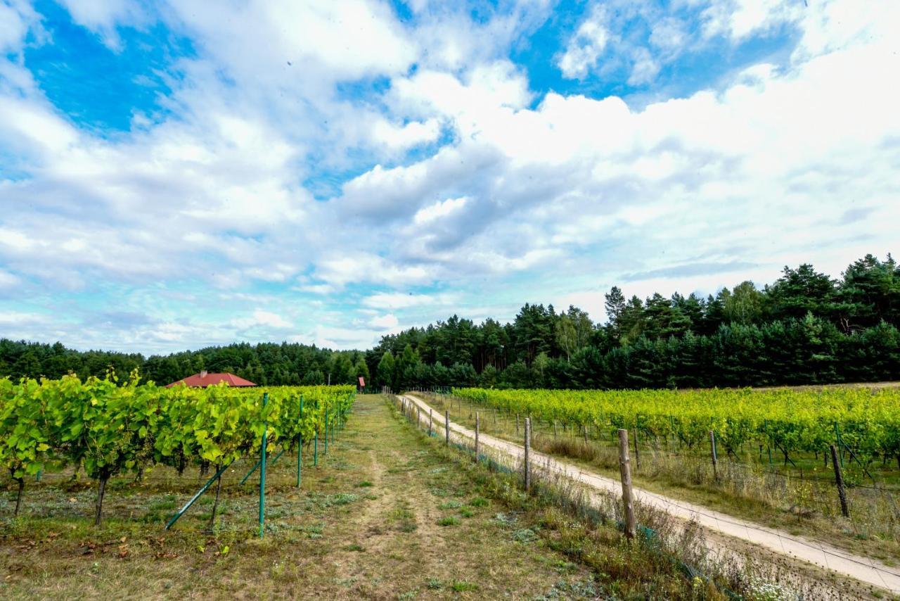 Winnica 